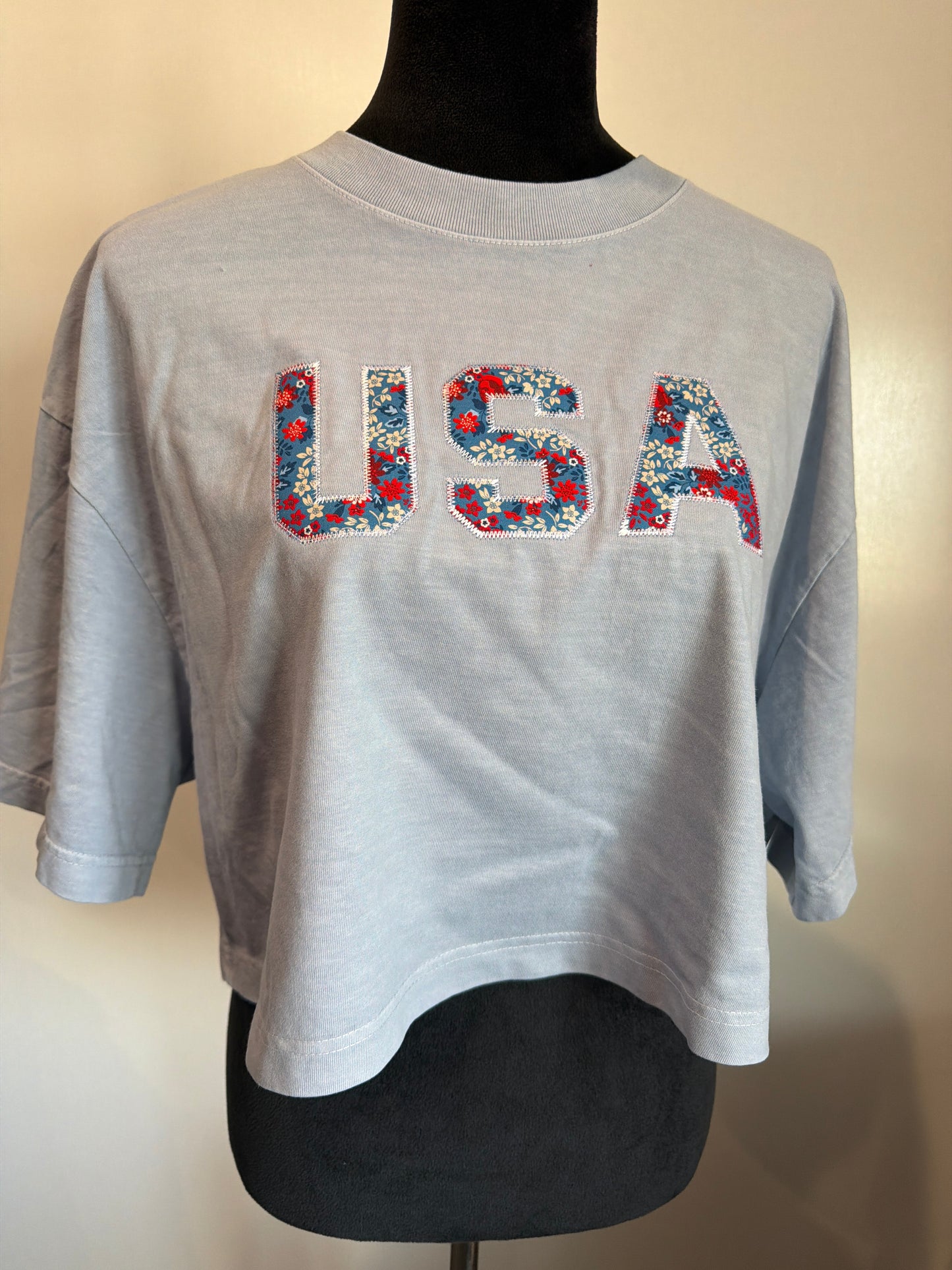 USA #10 Large