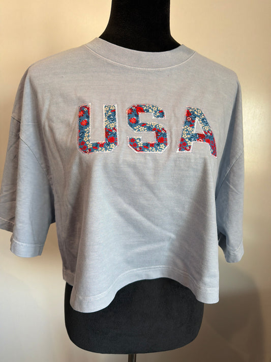 USA #10 Large