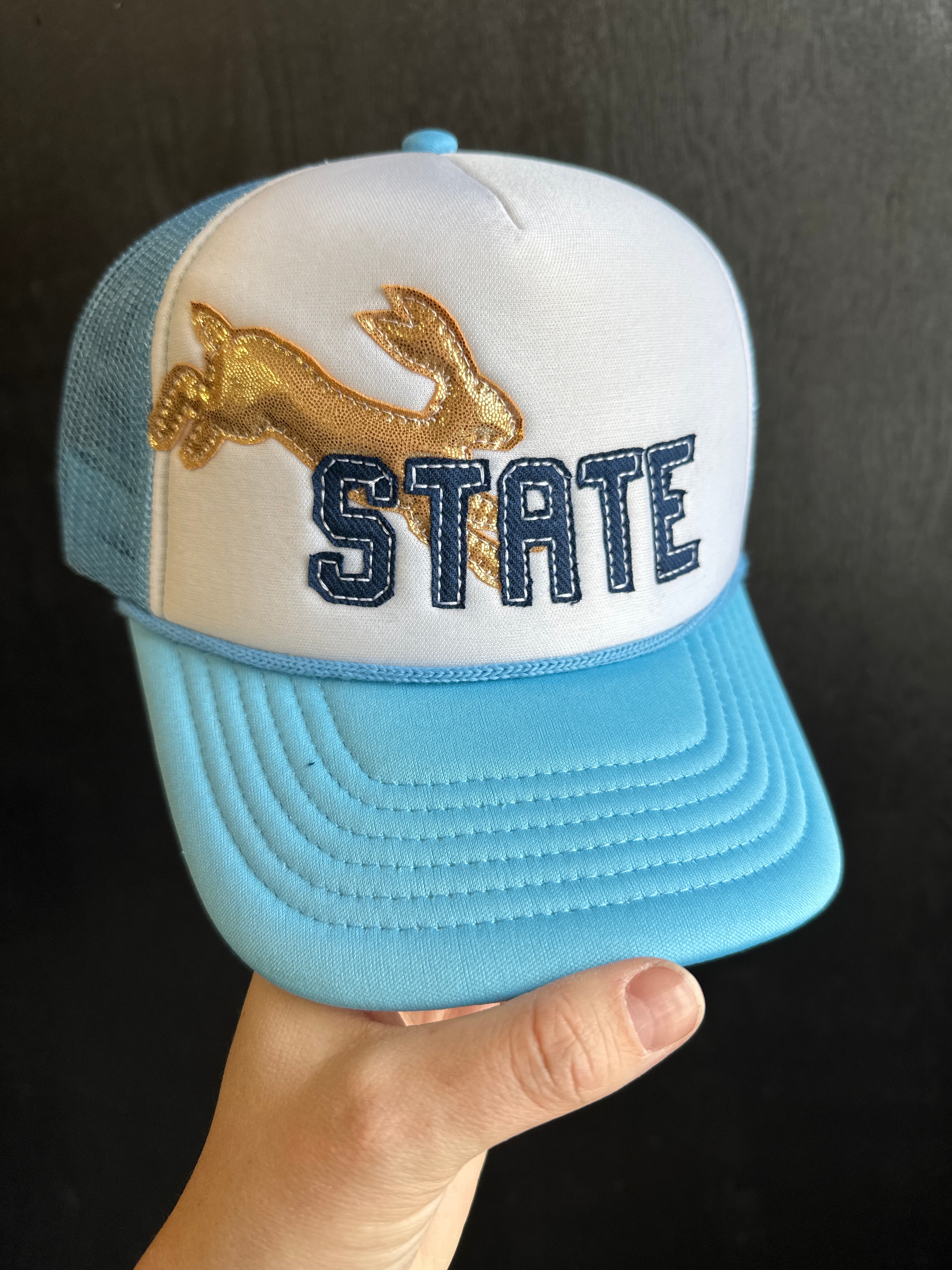 Light blue cap with 'STATE' and a logo held by a hand on a dark background