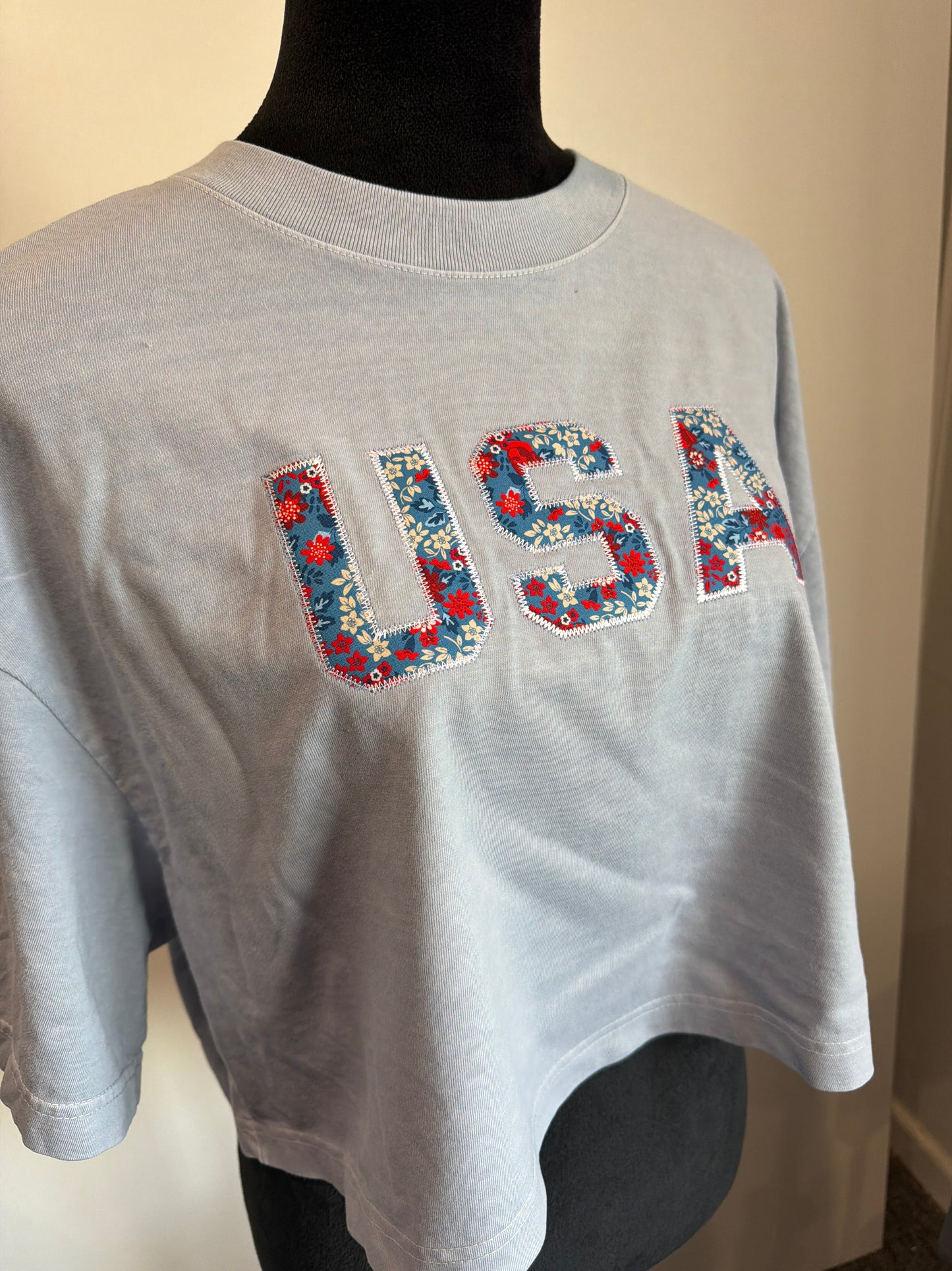 USA #10 Large