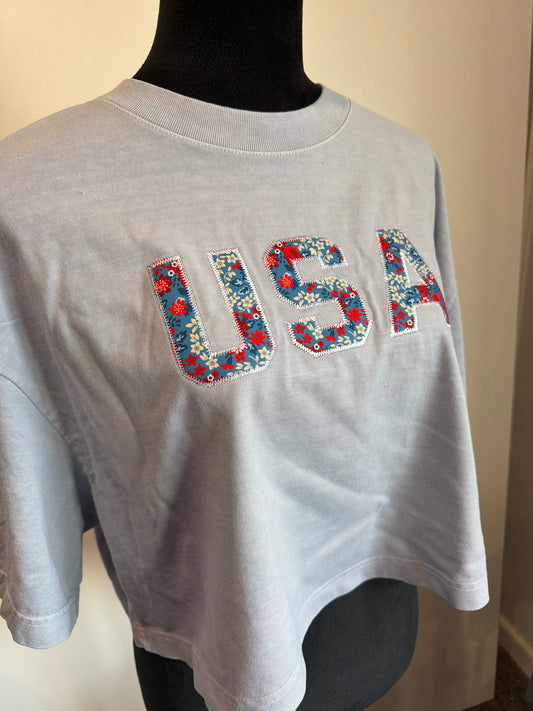 USA #10 Large